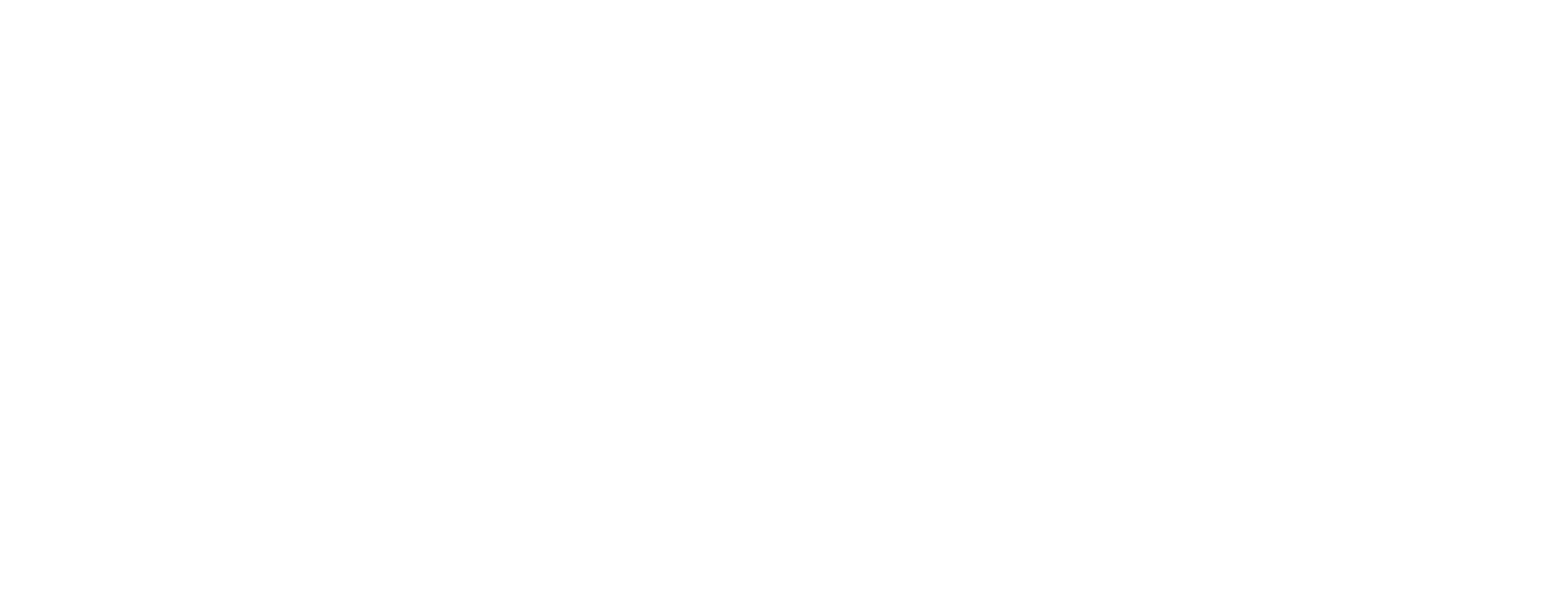 BrickWise